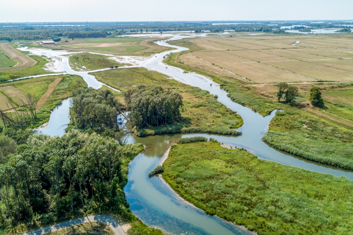 Ontdek Deze Zomer De Noordwaard En Ga Mee Op Fietsexcursie - Biesbosch