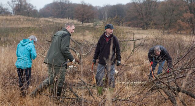 Vrijwilligers aan het werk op de heide voor Staatsbosbeheer