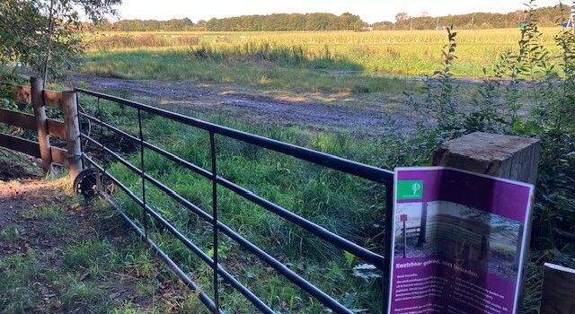 Om de biodiversiteit te behouden, is het belangrijk dat er ook in kwetsbare gebieden wordt gemaaid.