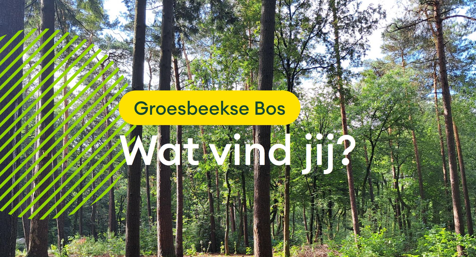 Wat vind jij van het Groesbeekse bos? - Rivierengebied